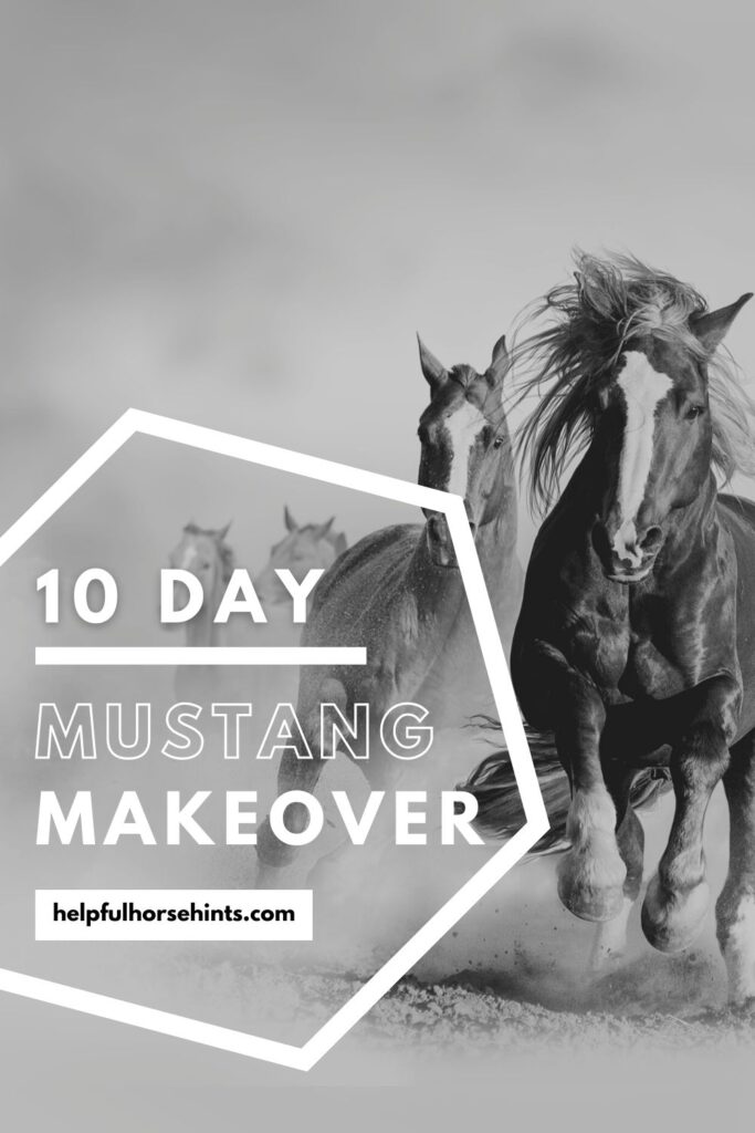 Pinterest pin - Mustang Makeover - 10 days