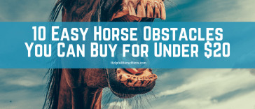 10 Easy Horse Obstacles You Can Buy for Under $20