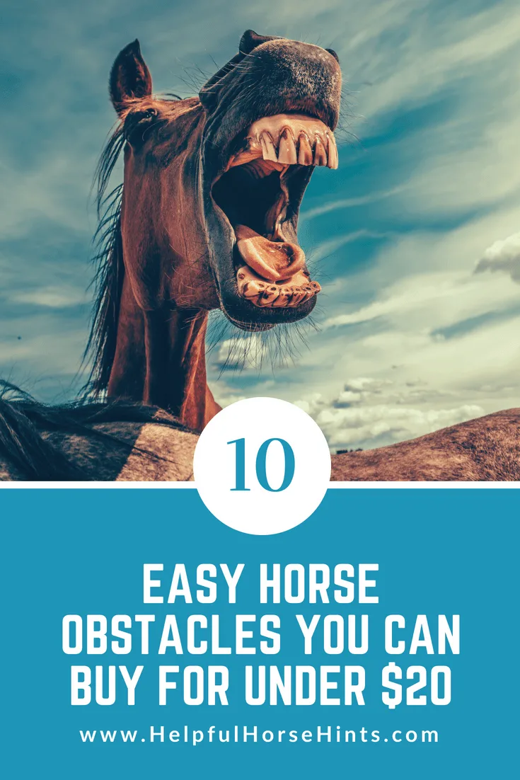 10 Easy Horse Obstacles You Can Buy for Under $20