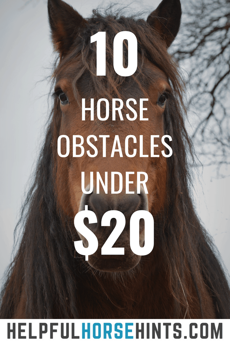 10 Easy Horse Obstacles You Can Buy for Under $20