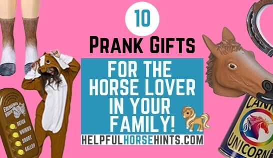 10 prank gift for the equestrian