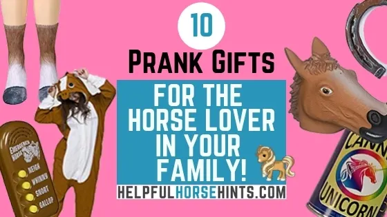 10 prank gift for the equestrian