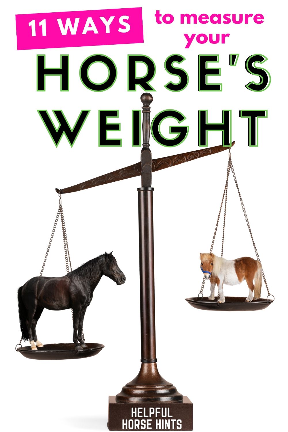 11 Ways You Can Measure Horse Weight + Average Weights by Breed