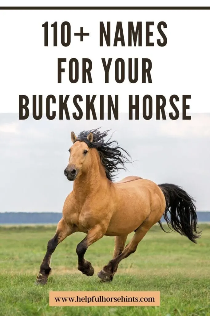 Pinterest pin - 110+ Buckskin Horse Names