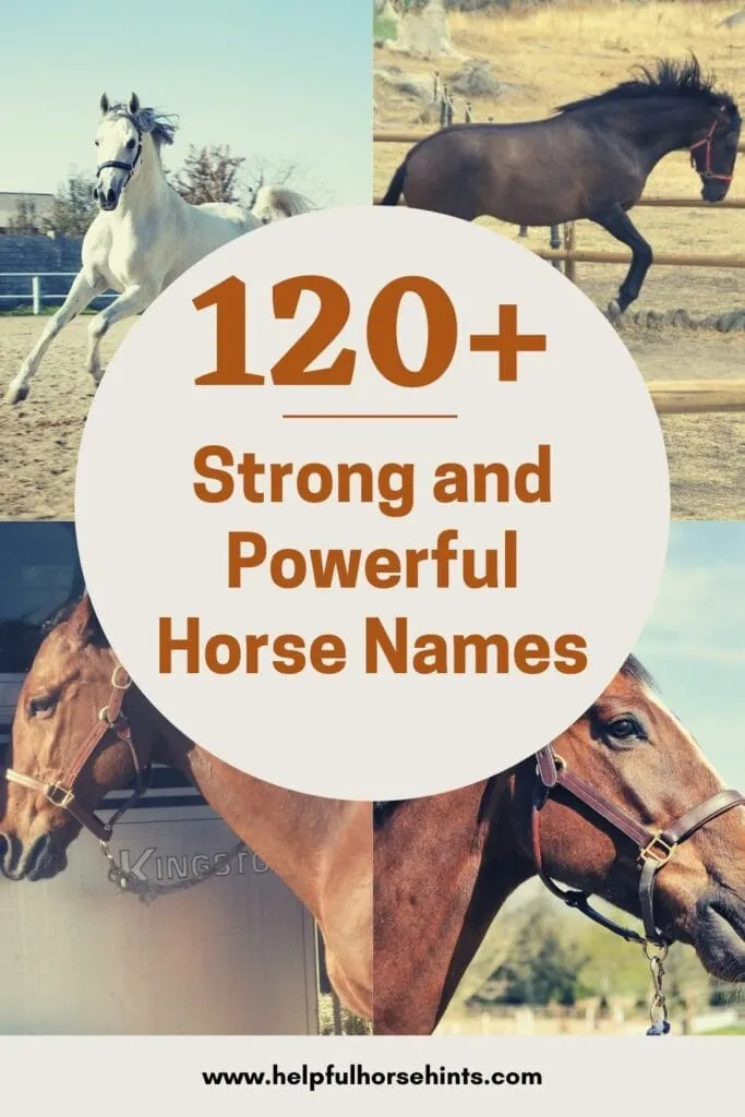 Pinterest pin - 120+ Strong and Powerful Horse Names