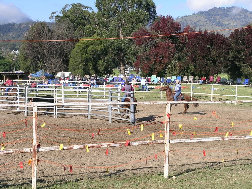 team penning event