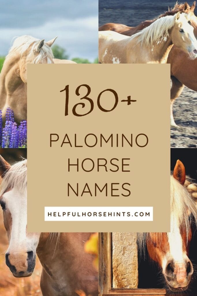 Pinterest pin - 130 Palomino Horse Names