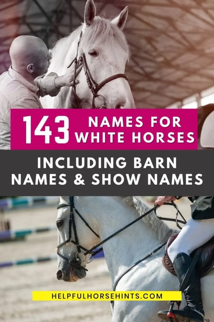 Pinterest pin - 143 White Horse Names