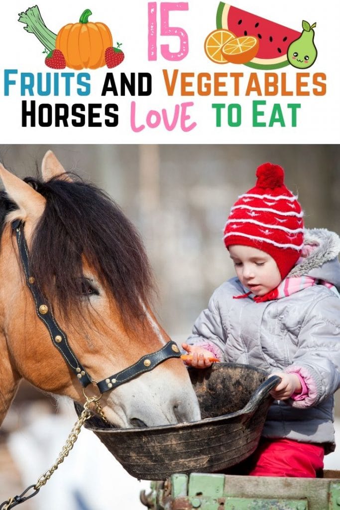 Pinterest pin - 15 Fruits and Vegetables Horses Love to Eat