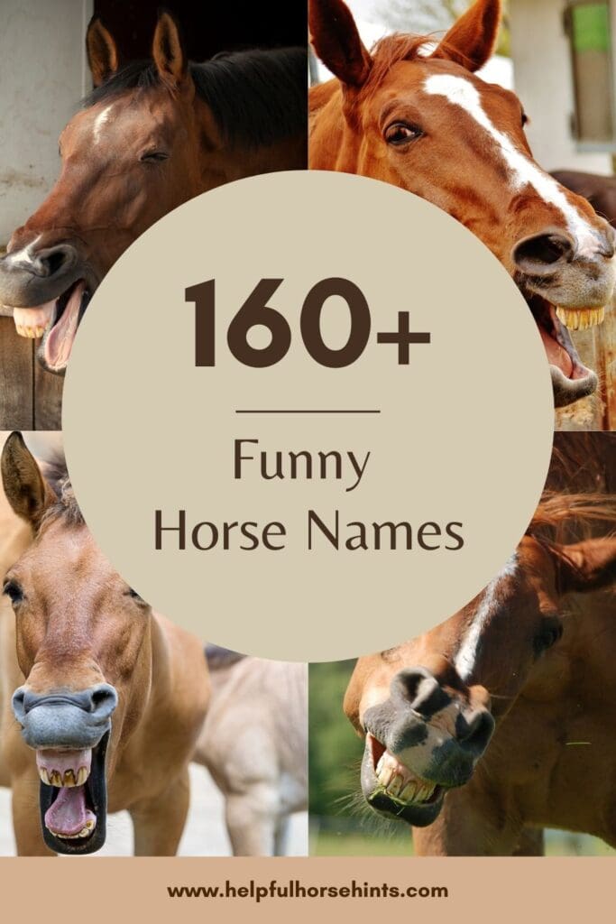 Pinterest pin - 160+ Funny Horse Names