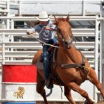 17 Remarkable Barrel Racing Quotes with Shareable Pictures - Helpful ...