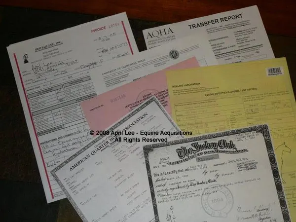 bunch of documents