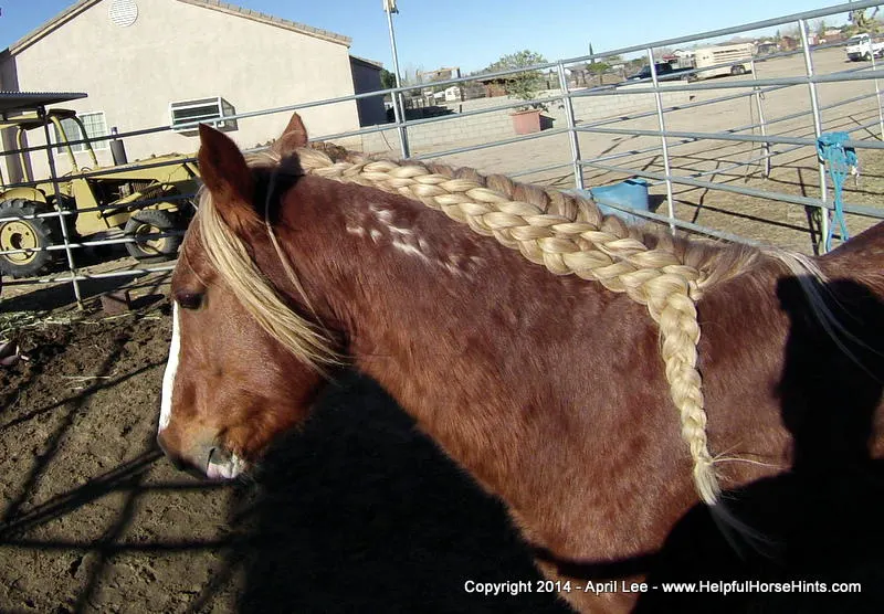 waterfall horse braid at helpfulhorsehints.com