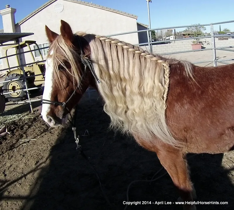 waterfall horse braid at helpfulhorsehints.com