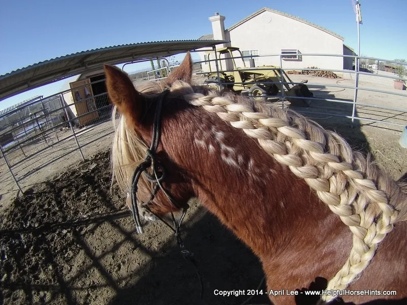 waterfall horse braid at helpfulhorsehints.com