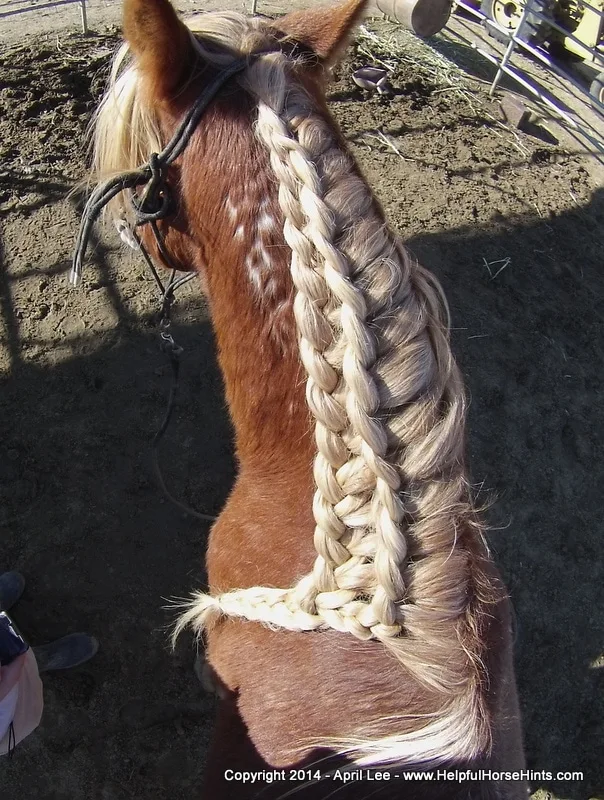 waterfall horse braid at helpfulhorsehints.com