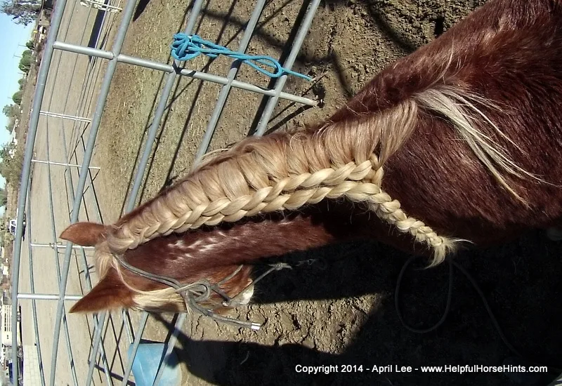 waterfall horse braid at helpfulhorsehints.com