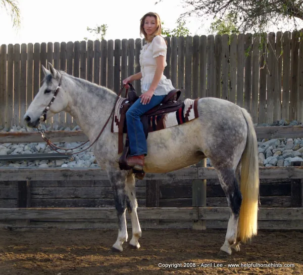 BLM Mustang Makeover