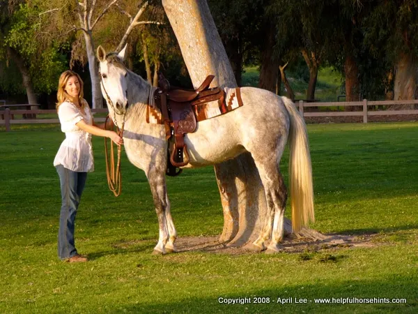 BLM Mustang Makeover