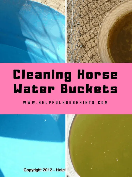 Cleaning Horse Water Buckets