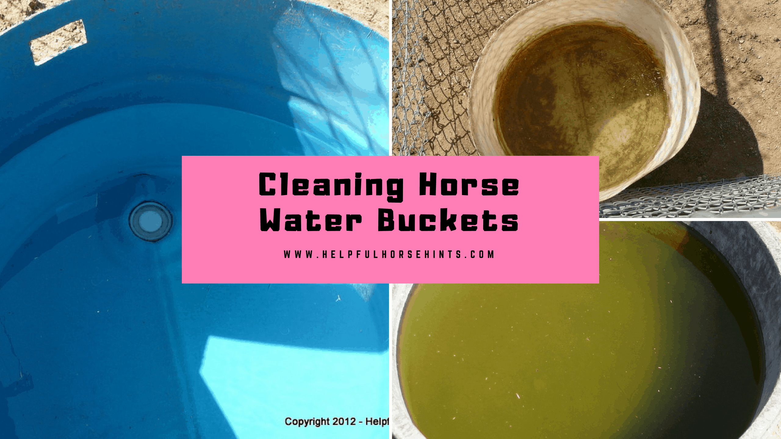 Cleaning Water Buckets - Helpful Horse Hints