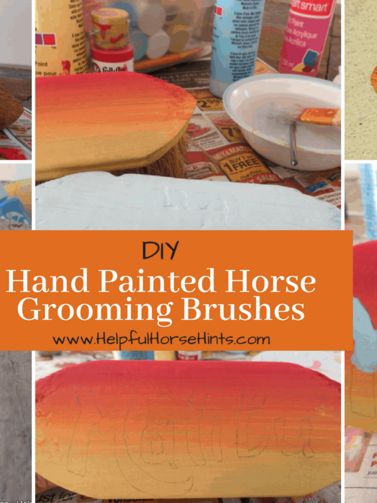 DIY Hand Painted Horse Grooming Brushes