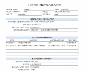 GENERALINFOSHEET