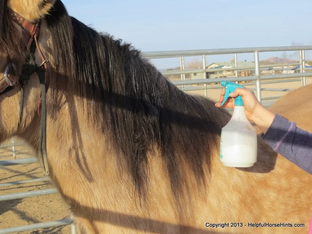 Hand holding spray bottle spraying horse mane