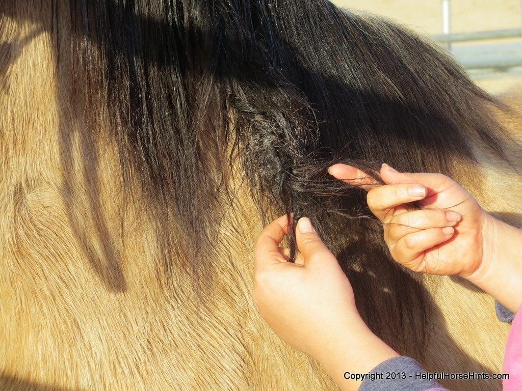 Figuring out where hairs are looped together.