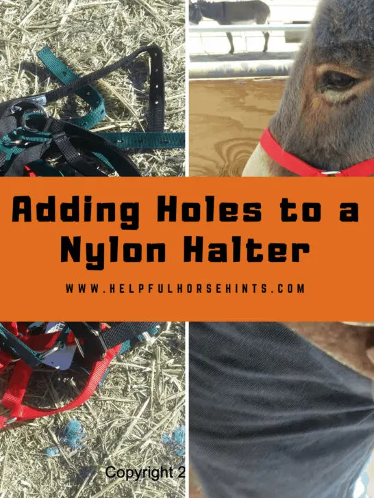 Adding Holes to a Nylon Halter