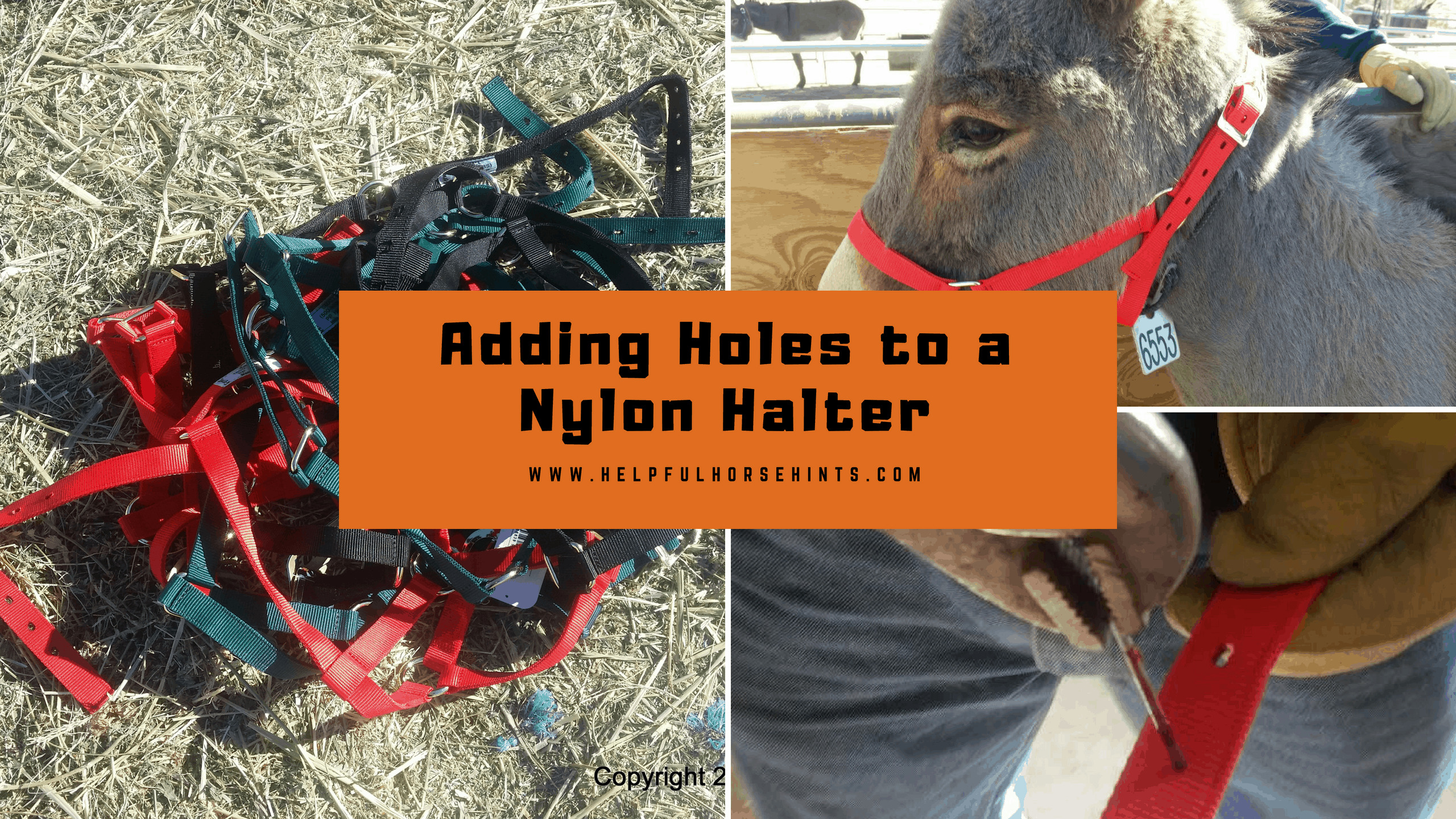 Adding Holes to a Nylon Halter
