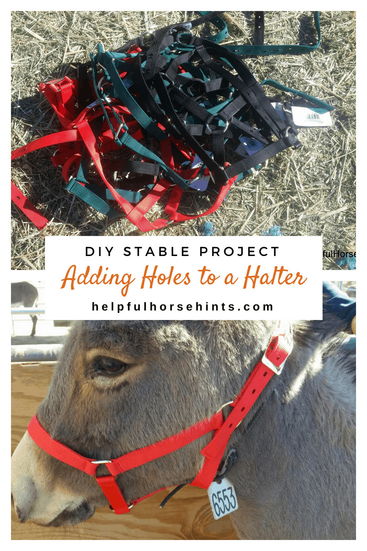 DIY Stable Project - Adding Holes to a Halter