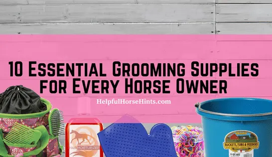 Essential Horse Grooming Supplies