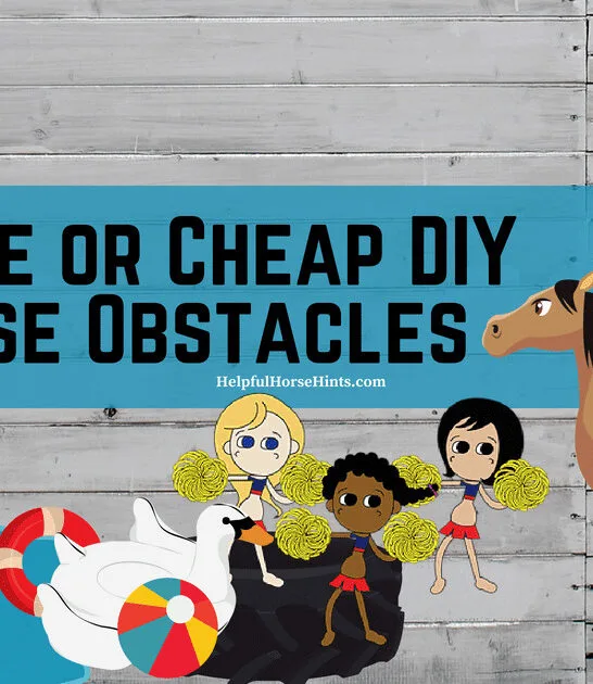 5 Free or Cheap DIY Horse Obstacles
