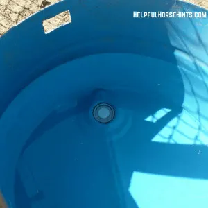 Horse Water Bucket