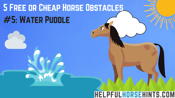 Horse Obstacle - Water Puddle