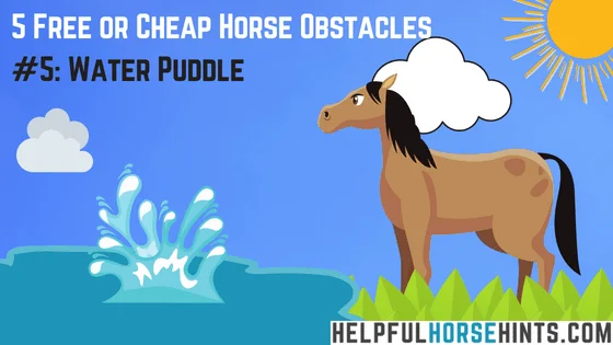 Horse Obstacle - Water Puddle