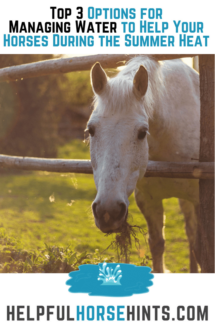 Pinterest pin - Top 3 Options for Managing Water to Help Your Horses During the Summer Heat Square
