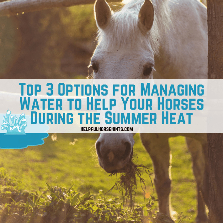 Top 3 Options for Managing Water to Help Your Horses During the Summer