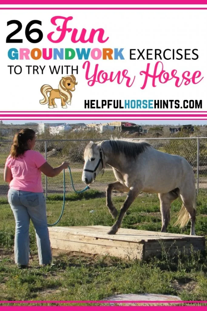 Pinterest pin - 26 Fun Horse Groundwork Exercises To Try