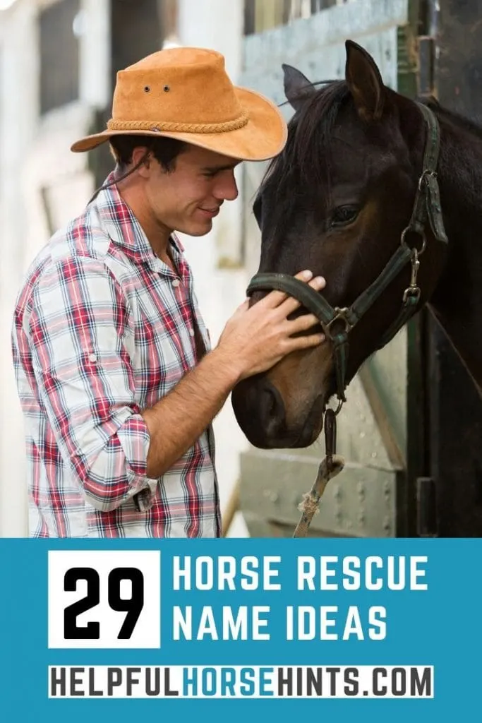 Pinterest pin - 29 Awesome Horse Rescue Name Ideas