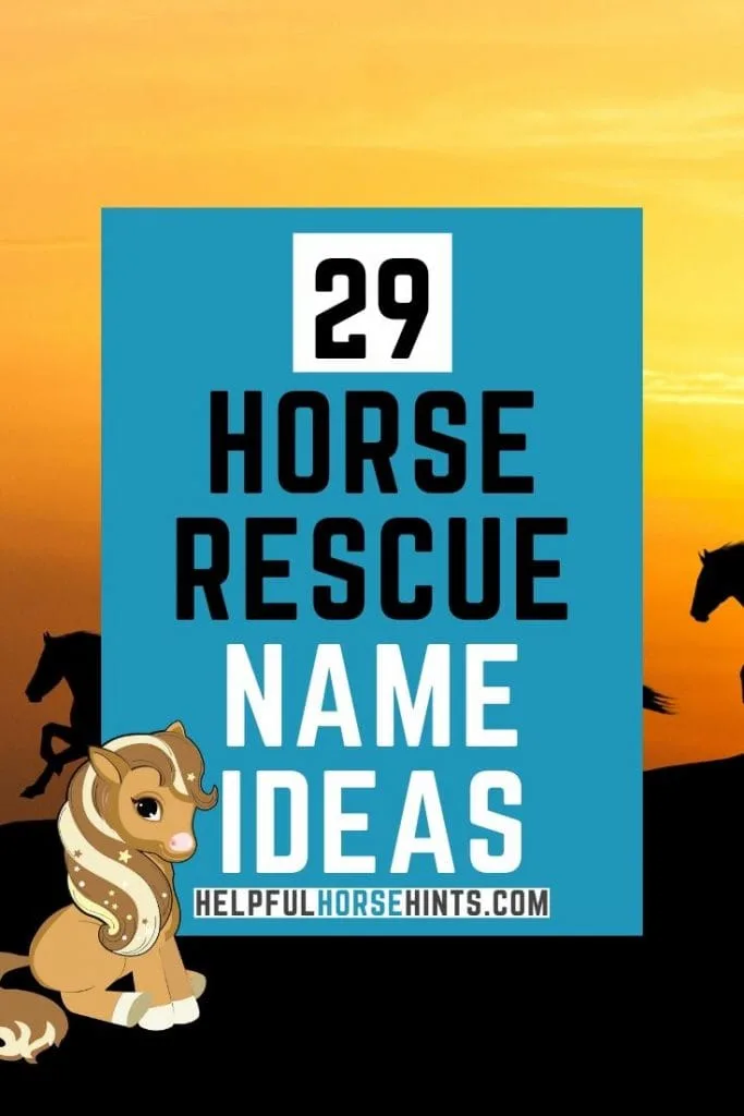 Pinterest pin - 29 horse rescue name ideas