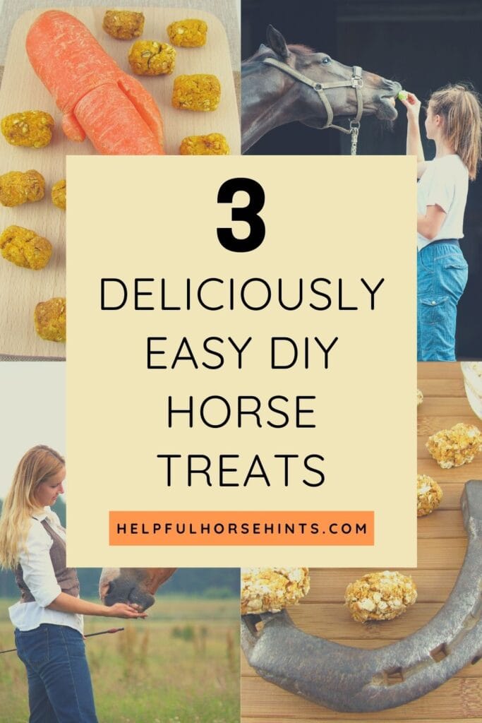 Pinterest pin - 3 Deliciously Easy DIY Horse Treats