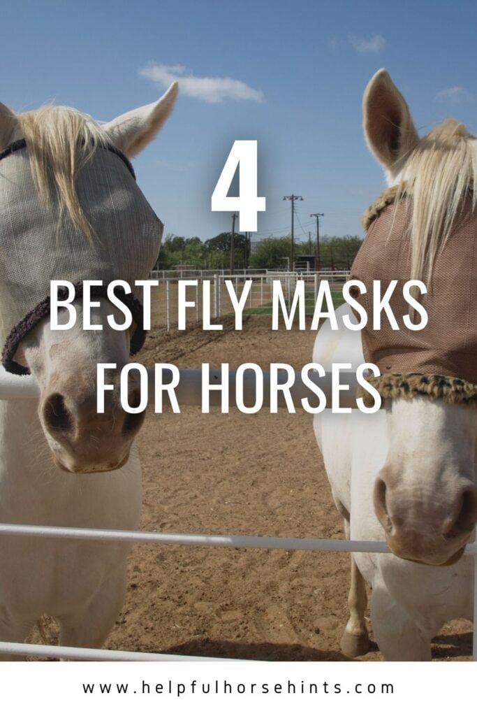 Pinterest pin - 4 Best Horse Fly Masks