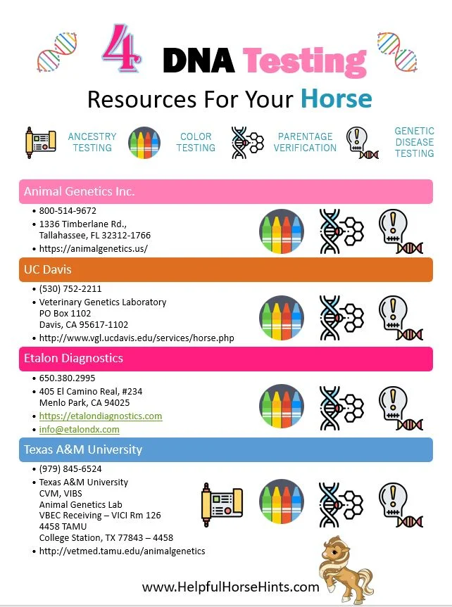 Pinterest Pin - DNA testing Resources for your Horse