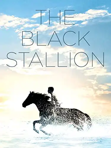 The Black Stallion