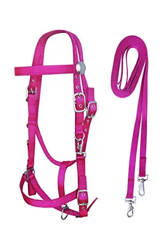 PRORIDER English Western Cob Nylon Halter Bridle Combo w/Reins