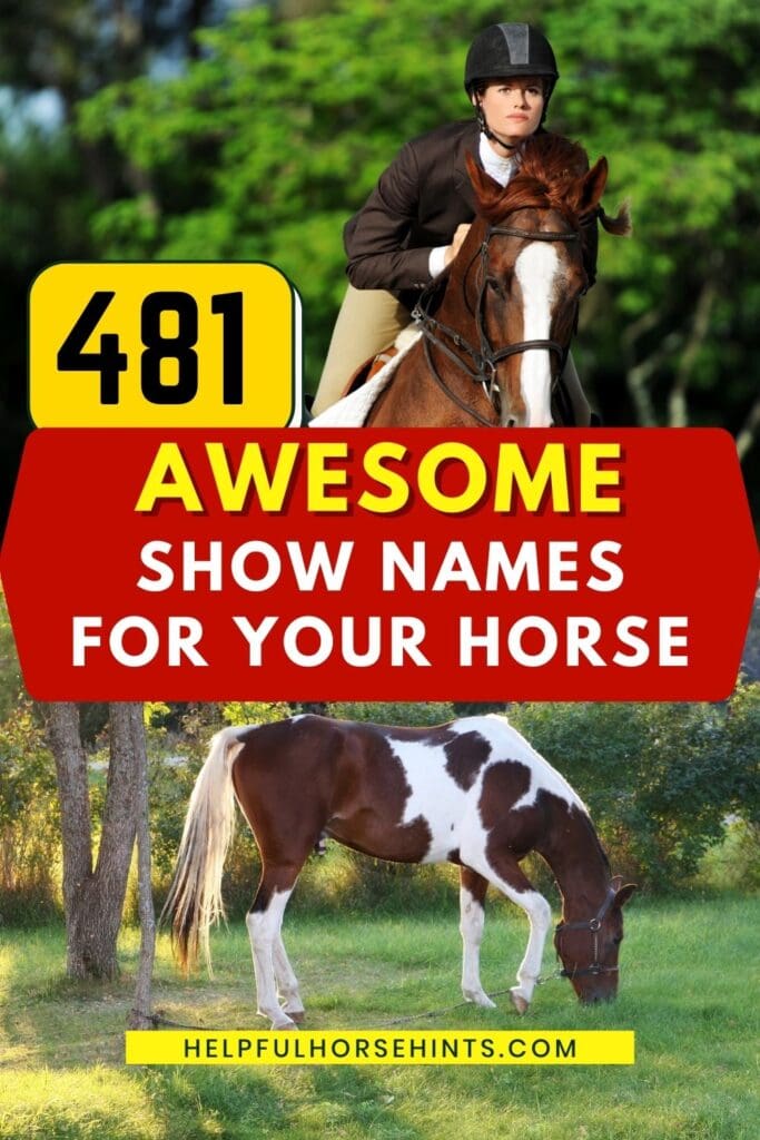 Pinterest pin - 481 Awesome Show Names for Your Horse