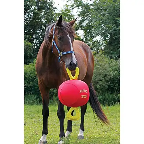 Horsemen's Pride 14
