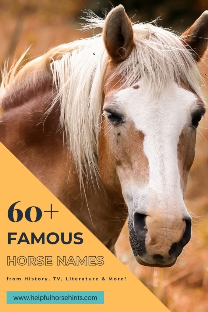 Pinterest pin - 60+ Famous Horse Names